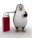 3d penguin with usb pendrive concept Royalty Free Stock Photo