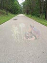 3d pictures on pavements in Riga