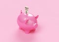 Pink Piggy Bank Isolated On White Royalty Free Stock Photo