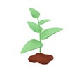 3D plant seed, Seedling vector illustration. 3d realistic vector icon illustration plants. Young Plant Growing.