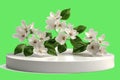 3D Podium floral with Spring Flowers with green background Royalty Free Stock Photo