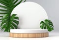 3D podium wood display white background with green monstera palm leaf Generative AI