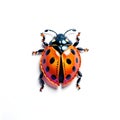 Colorful ladybug Kirigami style with additional transparent background