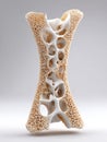 Detailed Structure of a 3D-printed Bone Model Showcasing Intricate Internal Patterns During a Lab Demonstration Royalty Free Stock Photo