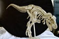 3D printed dinosaur skeleton