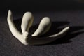 3d printed female sex organ clitoris for anatomy lessons Royalty Free Stock Photo