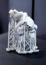3D printed human heart prototype close-up. Object photopolymer Royalty Free Stock Photo