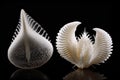 4d printed objects transforming over time