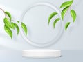 3d product background, cosmetic podium. Minimal nature display or scene, empty stand, platform with leaf, realistic
