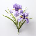 3d Purple Iris Flowers On White Background - Hiroshi Nagai Style Paper Sculptures