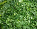 Sliced fresh spring greens cabbage vegetable Royalty Free Stock Photo