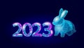 3D rabbit 2023 zodiac year sign concept. Chinese New Year holiday card. Low poly hare blue element background vector