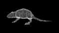 3D rat on black bg. Nature and animals concept. Rodent and pest control. For title, text, presentation. Shimmering