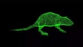3D rat on black bg. Nature and animals concept. Rodent and pest control. For title, text, presentation. Shimmering