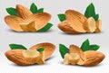 3D realistic almond. Nuts almonds with leaves on transparent background. Almond close up. Half , piece almond. Icon set
