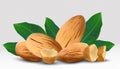 3D realistic almond. Nuts almonds with leaves on transparent background. Half , piece almond. Icon set. Vector