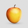 3D realistic apple isolated on transparent background. Vector illustration.