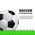 3D realistic ball soccer football on the green grass field Royalty Free Stock Photo