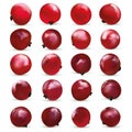 3D realistic berry isolated on white background. Red currant berry close up. Collection of single red summer berries