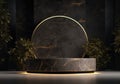 3d realistic black pedestal on a black background with golden elements and palm leaves. Empty space design luxury mockup scene for Royalty Free Stock Photo