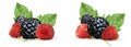 3D realistic Blackberry and raspberry isolated on white background. Set fresh, summer berry with green leaft. Black and