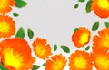 3d realistic calendula on transparent background. Flower marigold close up. Falling calendula flower from different Royalty Free Stock Photo