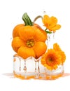 3D Realistic close-up of a pumpkin and some orange flowers in water splash, capturing the beauty of nature in the fall. Royalty Free Stock Photo
