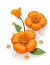 3D Realistic close-up of a pumpkin and some orange flowers in water splash, capturing the beauty of nature in the fall.