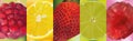 3d realistic fruit, pomegranate, lemon, lime, strawberry, raspberry. Vector graphics. A set of fruits.