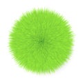 Fluffy Hair Ball Royalty Free Stock Photo