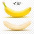 3d realistic isolated vector peeled and whole banana fruit