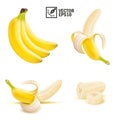 3d realistic isolated vector peeled and whole banana fruit, pieces and slices of banana