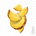 3d realistic isolated vector pineapple set, falling pineapple slices and pieces Royalty Free Stock Photo