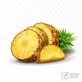 3d realistic isolated vector pineapple set, half pineapple with leaves, slices and a half Royalty Free Stock Photo