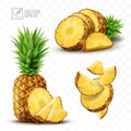 3d realistic isolated vector pineapple set, whole pineapple with leaves, falling pineapple slices and and pieces and a Royalty Free Stock Photo