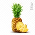 3d realistic isolated vector pineapple set, whole pineapple with leaves, pineapple slices and pieces Royalty Free Stock Photo