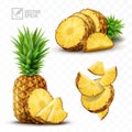 3d realistic isolated vector pineapple set, whole pineapple with leaves, falling pineapple slices and and pieces and a half Royalty Free Stock Photo