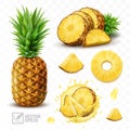 3d realistic isolated vector set of pineapple with juice splash, whole pineapple with leaves and splash with drops Royalty Free Stock Photo