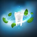 3D realistic isolated vector vortex of mint leaves around a white tooth