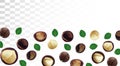 3D realistic macadamia nut isolated on transparent background. Shelled and unshelled Macadamia nuts with green leaf