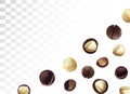 3D realistic macadamia nut isolated on transparent background. Shelled and unshelled Macadamia nuts. Organic macadamia