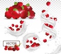 3D realistic milk splash with red currant berry. Fresh fruit yogurt. Different splash. Milk Cocktail. Vector