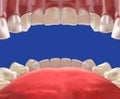 3d Realistic mouth cavity view from inside Royalty Free Stock Photo