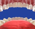 3d Realistic mouth cavity view from inside