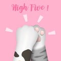 3D realistic multi-colored cat paws legs dog paws kitten footprint do high-five isolated on pink background.