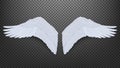 3D Realistic Pair Of White Angel Style Wings Royalty Free Stock Photo
