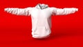 Mens Jumper clean empty template, mockup for design, logo