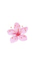 3D realistic romantic sakura cherry flower social media cover. Highlights stories isolated white background template