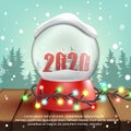 3d realistic Snow Ball with text 2020. Vector