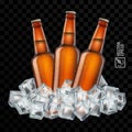 3d realistic transparent brown beer bottles in ice cubes Royalty Free Stock Photo